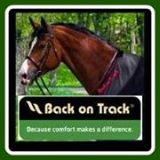 Back On Track Horses