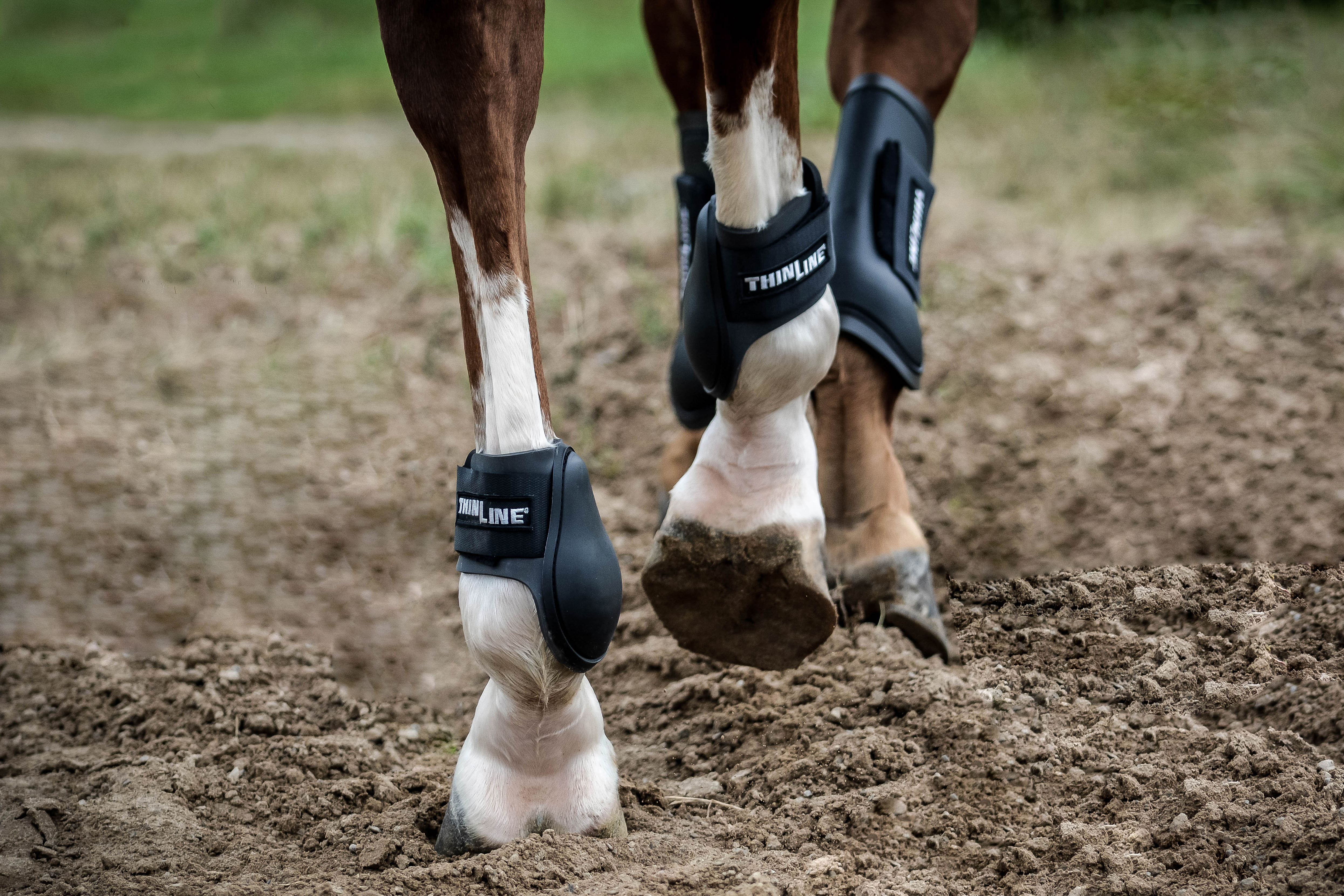 ThinLine Jump Schooling Horse Boot