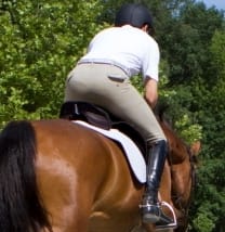 Horseback riding safety tips Preventing hidden spine concussion