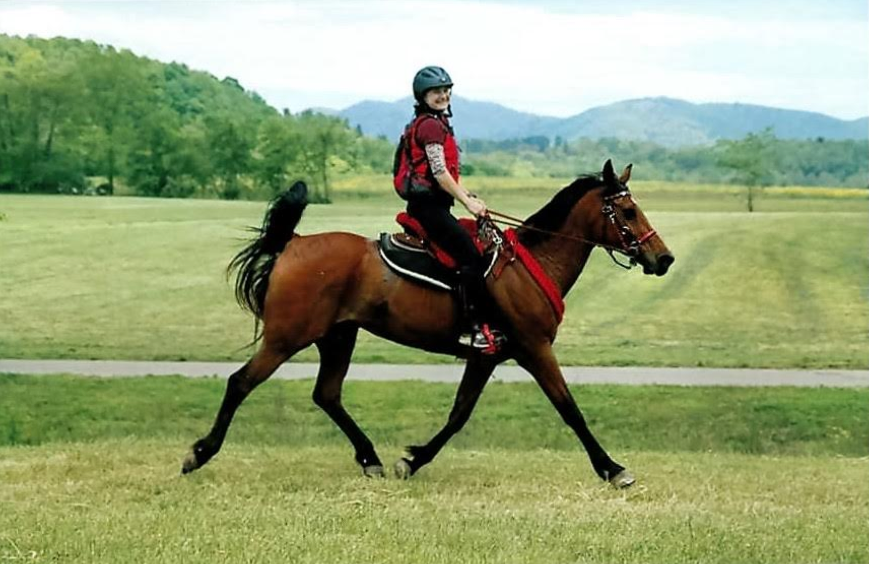 Full Sheepskin Endurance Round Skirt Saddle Pad - Customer Review Sara Borkosky