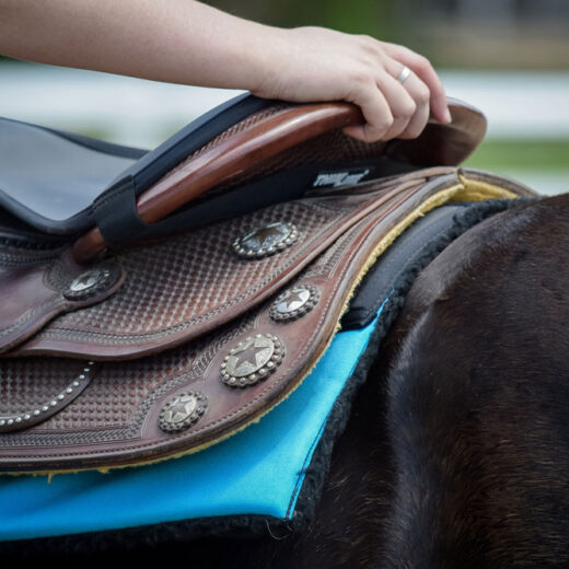 ThinLine Seat Saver Western Black