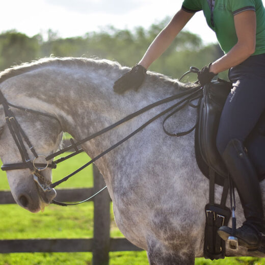 ThinLine Seat Saver Dressage