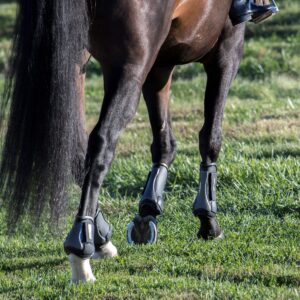 ThinLine Jumping Open Front Air Shock Horse Boot