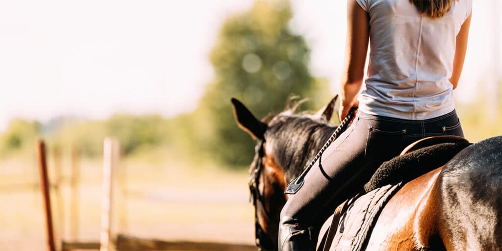 english saddle pad